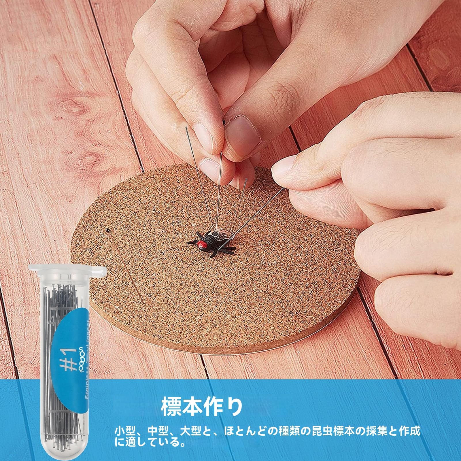 Amazon.co.jp: 100本 標本ピン 昆虫標本 虫ピン 標本 長さ40mm 幅0.32